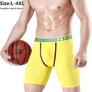 Shorts pour hommes Gym Compression Hommes Sports Boxers Rouge Bleu Été Jaune XXXL 4XL Allonger Collants Sous Base Porter Maigre Fitness Coton