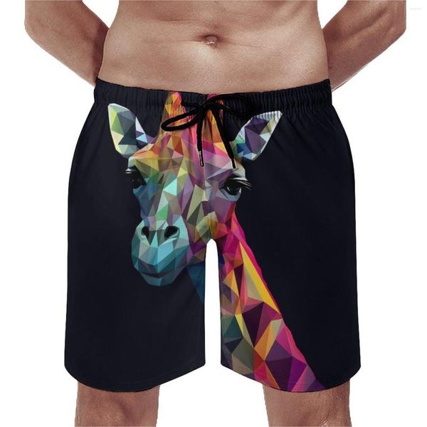 Shorts pour hommes Gym Giraffe Hawaii Maillots de bain Paper Art Mâles Séchage rapide Sportswear Oversize Beach