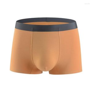 Pantalones cortos para hombres Calzoncillos para hombres Ropa interior Calzoncillos boxer sexy de fibra de bambú Pantalones para hombres Bragas masculinas transpirables