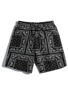 Shorts masculins Hommes décontractés paisley imprimé sport plage shorts T240507