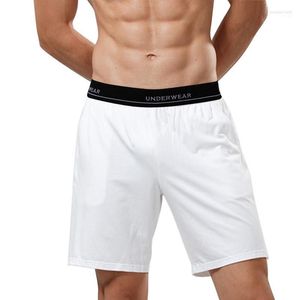 Shorts pour hommes Hommes Coton Poche Casual Lâche Long Boxer Lounge Wear Entraînement Gym Jogging Pantalons de survêtement Homewear Sleep Bottoms 3XL