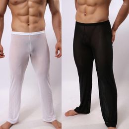 Shorts pour hommes Lingerie sexy pour hommes Pantalon transparent en maille Bas de couleur pure Pantalon long serré Vêtements de nuit Doux pour la peau et confortable M-2XL