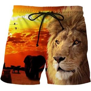 Shorts pour hommes shorts pour hommes tigres tigre lion 3d plan de surf imprimé shorts de plage pour hommes shorts décontractés surdimensionnés T240505