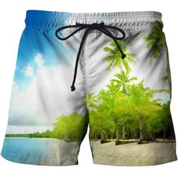 Heren Shorts Zee Natuur Landschap 3D Gedrukt Korte Broek Badpak Mannen Zwembroek Beachwear Cool Jongens Kinderen Strand Sport Pant225w