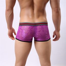 Shorts pour hommes Sexy hommes voir à travers la dentelle maille sous-vêtements Boxer Transparent érotique Lingerie creuse ouvrable culotte Gay Wear