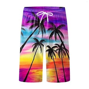 Heren shorts Silk World Heren Swim Trunk Summer Scenery Quiry Digital Print Drawing met elastische taille casual badpakken voor mannen