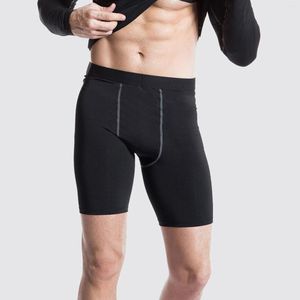 Short Homme Spandex Polyester Couleur Unie Entraînement Homme