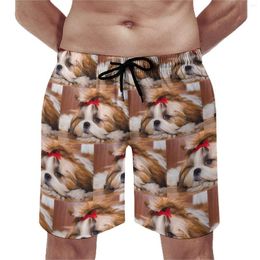 Short d'été pour hommes, imprimé chien, chiot, surf, motif animal, plage, drôle, séchage rapide, grande taille