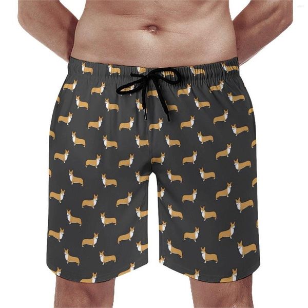 Short d'été pour hommes, imprimé chien amusant, sport, Animal, pantalon court de plage, décontracté, séchage rapide, maillot de bain, grande taille