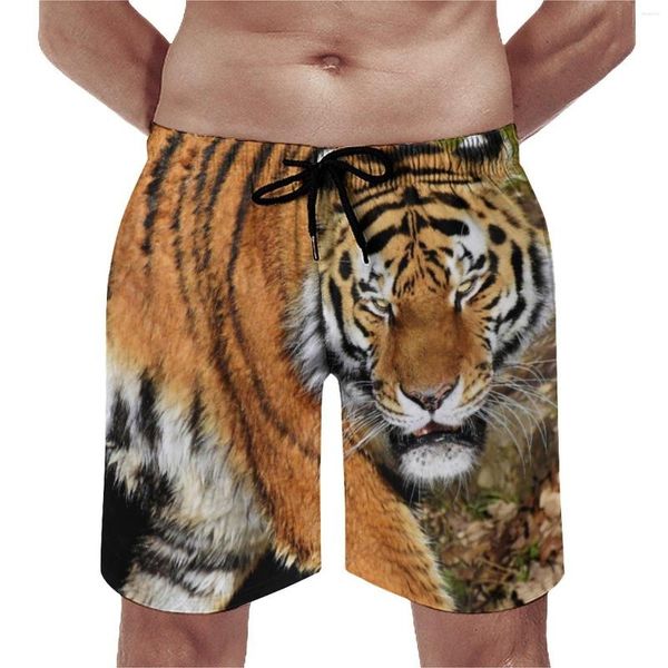 Short d'été pour hommes, vêtements de sport, tigre du Bengale, Design imprimé d'animaux sauvages, pantalons courts de plage rétro, séchage rapide, grande taille