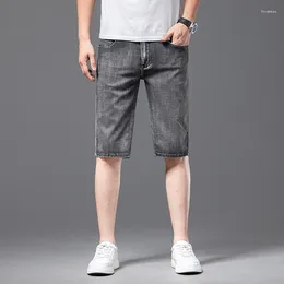 Shorts masculins Summer Smoke Grey Thin Short Jeans Style classique Fashionable and Casual Stretch Stretch Slim Fit Denim Mâle