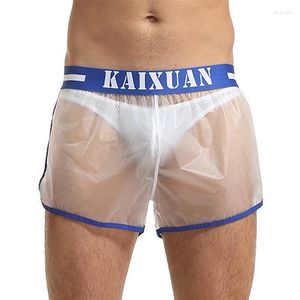 Short masculin Boxer transparent sexy voir à travers les boules de natation solides plage décontractée imperméable de natation de set des sous-vêtements