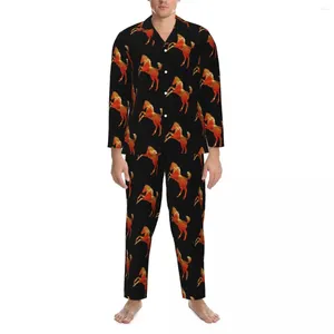 Pyjama cheval pour hommes, ensemble 2 pièces, formes géométriques, doux, manches longues, ample, maison, vêtements de nuit, grande taille XL 2XL