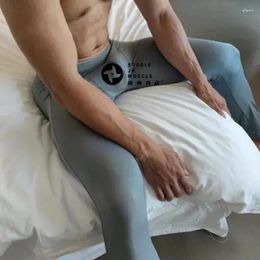 Ropa de dormir para hombres Verano Primavera Ultra-Delgado Transparente Sexy Mens Ver a través de Leggings Long Johns Pantalones apretados Ropa interior