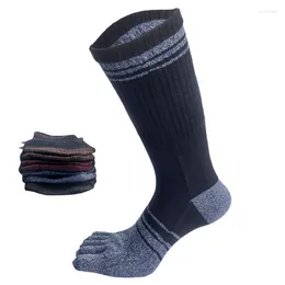 Chaussettes masculines 5 paires marques hommes toe harajuku long business sportive compression with etts mâle coton calcitines pères pères cadeaux