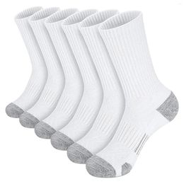 Chaussettes de basket-ball pour hommes, couleur unie, courtes, 5 pièces, cintre d'écharpe, support organisateur pour pantoufles de placard, taille 12