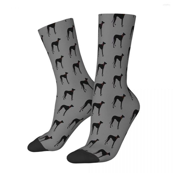 Chaussettes pour hommes, Silhouette de lévrier noir avec collier, lévriers, chiens, hommes et femmes, bas d'été, Hip Hop