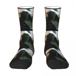 Chaussettes pour hommes Buggy et Sir.Crocodile Hommes Femmes Coupe-vent Beau Printemps Été Automne Hiver Dressing Cadeaux