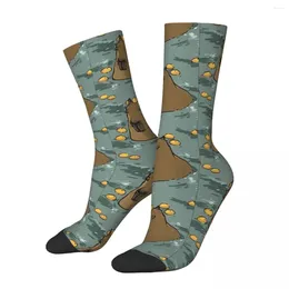 Chaussettes pour hommes Capybara Bath Hommes Femmes Coupe-vent Nouveauté Printemps Été Automne Hiver Bas Cadeau