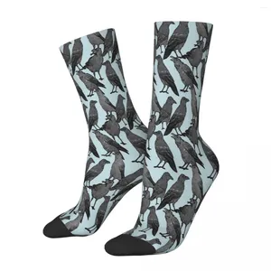 Chaussettes pour hommes Motif de corbeau mignon Mâle Hommes Femmes Printemps Bas Hip Hop