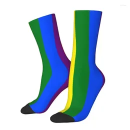 Herensokken Leuke Afdrukken Gay Pride Vlag Streep Voor Vrouwen Mannen Stretch Zomer Herfst Winter GLBT LGBT Rainbow Lesbische Crew