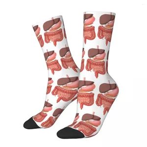 Chaussettes pour hommes Système digestif Organs Illustration Stocks de haute qualité All Season pour le cadeau d'anniversaire de l'homme