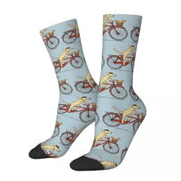 Les chaussettes masculines chien et l'écureuil sont des amis animaux fantaisistes art animal conduisant un vélo harajuku super doux bas de saison toute la saison