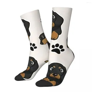 Chaussettes pour hommes drôle chaussettes folles pour hommes dessins animés mignon hip hop harajuku teckel animal de compagnie motif heureux imprimé garçons équipage cadeau décontracté