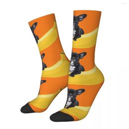 Chaussettes pour hommes drôle heureux hommes Compression ordinaire impression rétro Harajuku chien banane intérêt Fruits Hip Hop nouveauté équipage chaussette