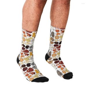 Calcetines de hombre Hombres divertidos Lindo conejillo de indias Gradiente Impreso Hip Hop Happy Boys Street Style Loco Novedad para