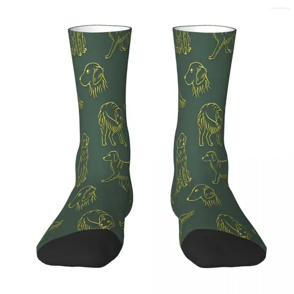 Chaussettes homme motif Golden Retriever fond foncé chaussette hommes femmes bas Polyester personnalisable Hip Hop