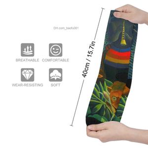 Calcetines de hombre Henry Rousseau Art Dream Calcetines Compresión Stock Calcetines de hombre Z230727