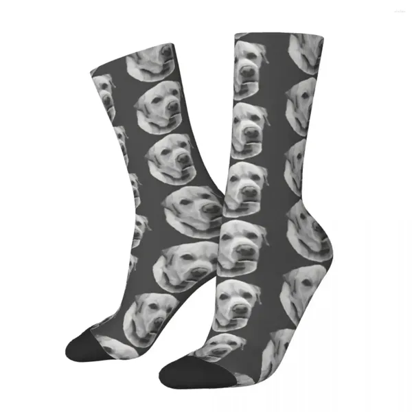 Chaussettes pour hommes Hip Hop rétro monochrome Labrador Crazy Dog unisexe Harajuku motif imprimé drôle nouveauté Happy Crew chaussette garçons cadeau