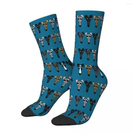 Chaussettes pour hommes Si vous m'aimiez vraiment Geryhound Greyhounds Dog Whippet Mâle Hommes Femmes Bas d'hiver Hip Hop