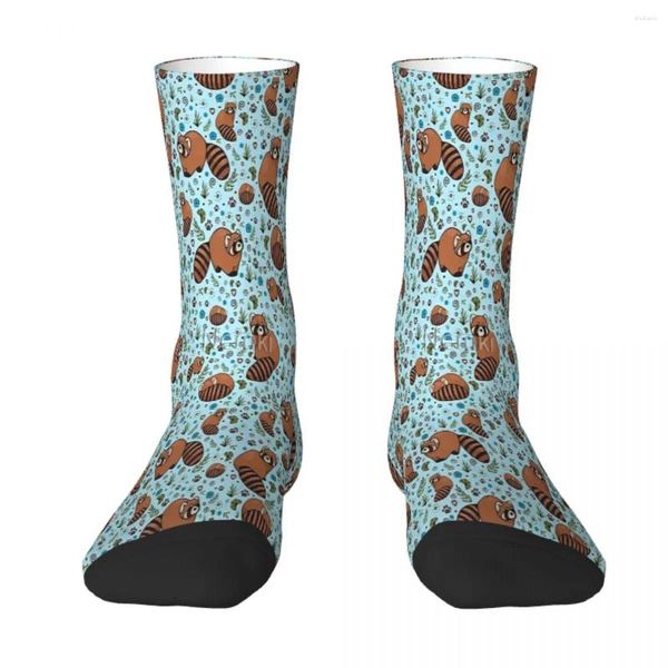 Calcetines para hombre en azul, rojo, Panda, Ailurus Fulgens, la especie más linda, medias de verano para hombre y mujer, poliéster