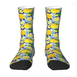 Chaussettes masculines citron au-dessus de carreaux bleus et blancs style italien pour les hommes stressé l'équipe d'agrumes d'hiver de l'automne d'été