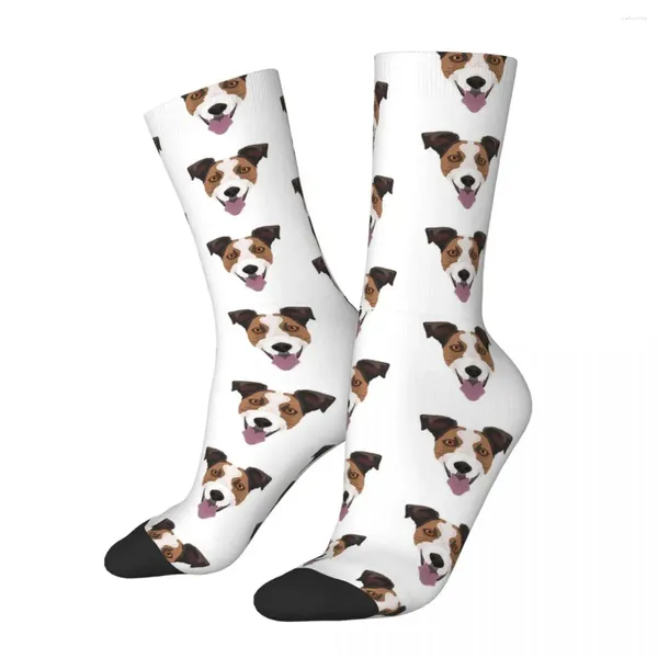 Chaussettes pour hommes hommes hommes Harajuku Jack Russell Terrier mignon chien chaussette graphique femmes printemps été automne hiver