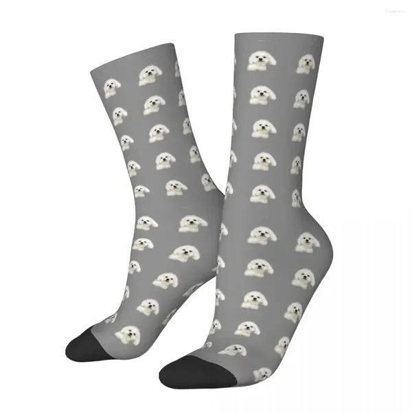 Calcetines de hombre Maltés Cachorro Harajuku Medias súper suaves para todas las estaciones Accesorios largos para regalos unisex