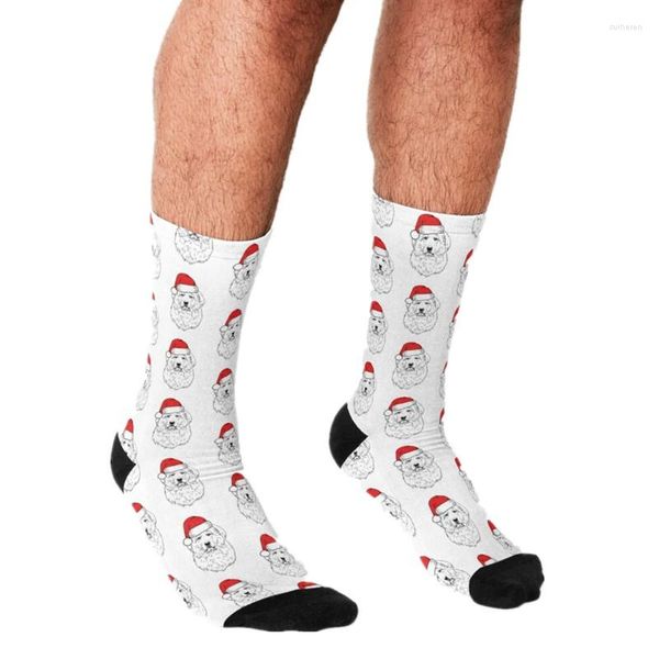 Chaussettes pour hommes drôles de Noël grandes Pyrénées Santa PYR chien vacances Harajuku hommes heureux Hip Hop nouveauté décontracté pour