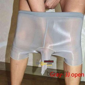 Mannen Sokken Mannen Sexy Shorts Panty Kousen Penis Pouch Schede Ultra Dunne Sheer Panty Bodysuit 3 Colors1318Q