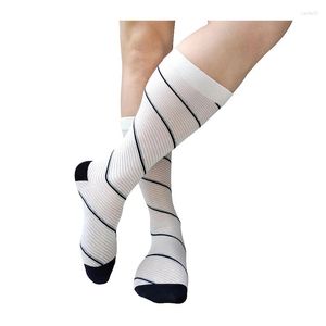 Calcetines para hombres Traje de vestir para hombre Traje de rayas negras Ver a través de blanco Sexy Formal Lencería masculina Medias Manguera de negocios