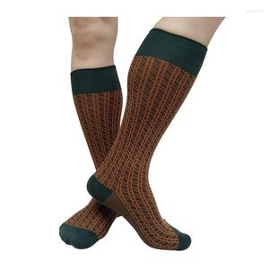 Chaussettes pour hommes hommes longue rayure s'agenouiller haute couture Vintage robe formelle costume Sexy mâle tuyau bas cadeaux d'affaires