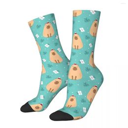 Chaussettes homme joyeux noël mignon Capybara cochon d'inde Cavia Porcellus Animal mâle hommes femmes bas d'été Polyester