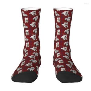 Chaussettes pour hommes nouveauté imprimée West Highland Terrier Westie pour hommes femmes Stretch été automne hiver mignon chiot chien équipage