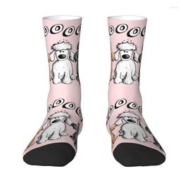 Chaussettes pour hommes nouveauté Woof caniches robe unisexe Breathbale chaud 3D imprimé dessin animé caniche chien équipage