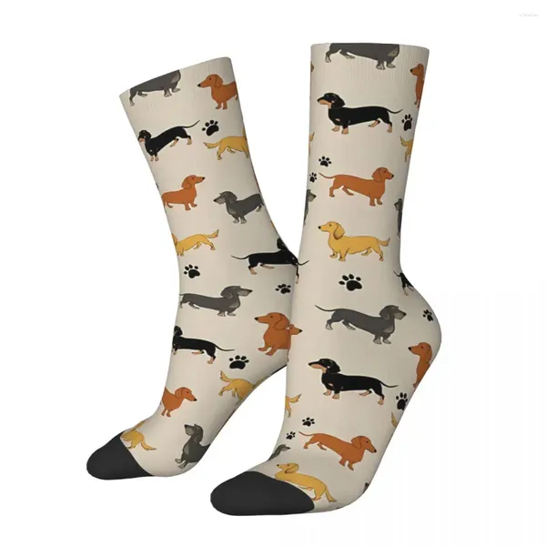 Chaussettes pour hommes, saucisses, teckel, chien, hommes, femmes, bas d'été, Polyester