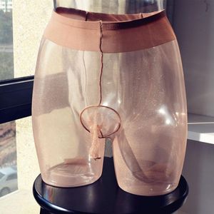 Calcetines de hombre Ropa interior erótica de hombres sexy Brillante Ultra delgado Pantimedias transparentes 2D Medias de vaina de pene Medias de nylon Medias Medias Gay Sissy LingerieMen