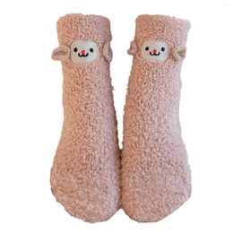 Calcetines De hombre para dormir, caja De bolas De terciopelo Coral, regalo De Navidad, calcetines gruesos De dibujos animados para dormir para hombres y mujeres, Calcetines De Invierno