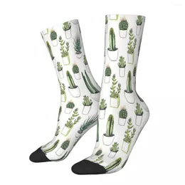 Chaussettes masculines aquarelle cactus succulentes masculines hommes femmes bases d'été polyester