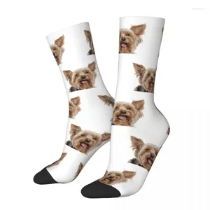 Calcetines para hombres Invierno Cálido Diseño loco Mujeres Hombres Lindo Yorkie Yorkshire Terrier Perro Animal Cachorro Sudor Absorción Fútbol